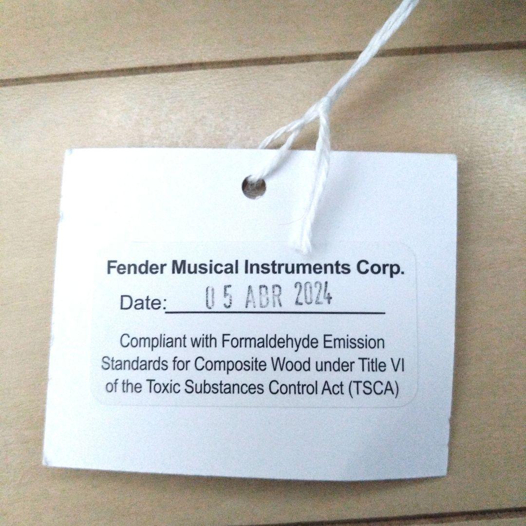 ギター Eric Johnson 1954 Virginia Stratocaster