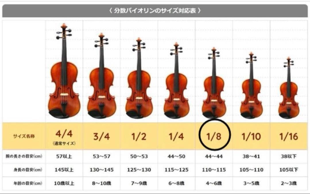 カルロジョルダーノ ヴァイオリンセット　VS-1 1/8 バイオリン　2020