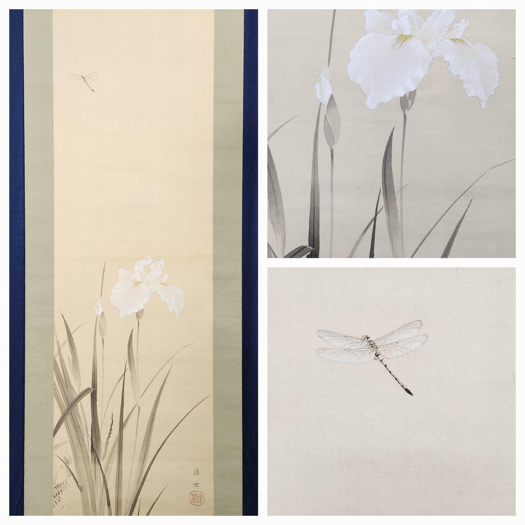 【花菖蒲にトンボ図】井上達雄 通世 2632 トンボ 掛け軸　肉筆