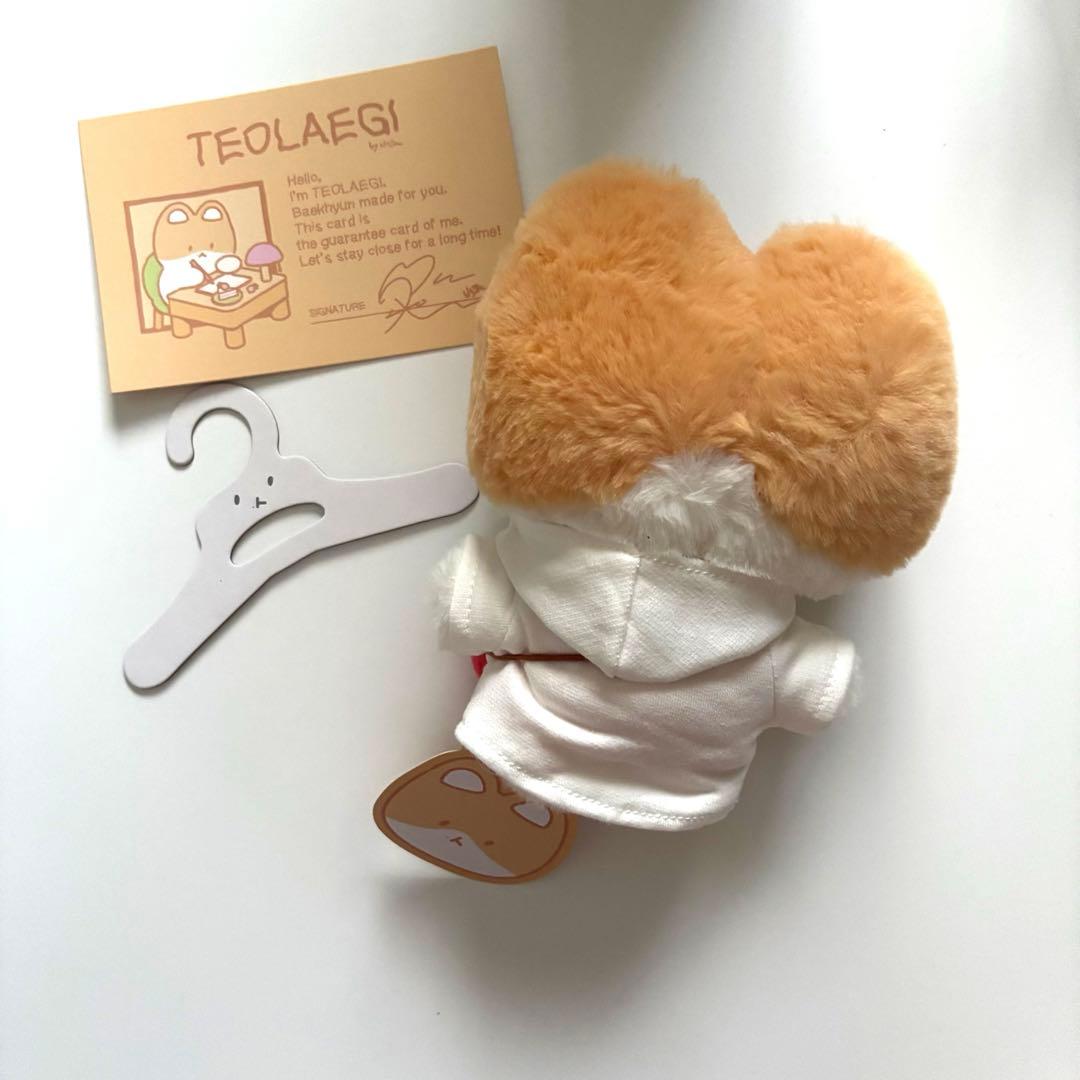 ベッキョン　トレギ4点セット