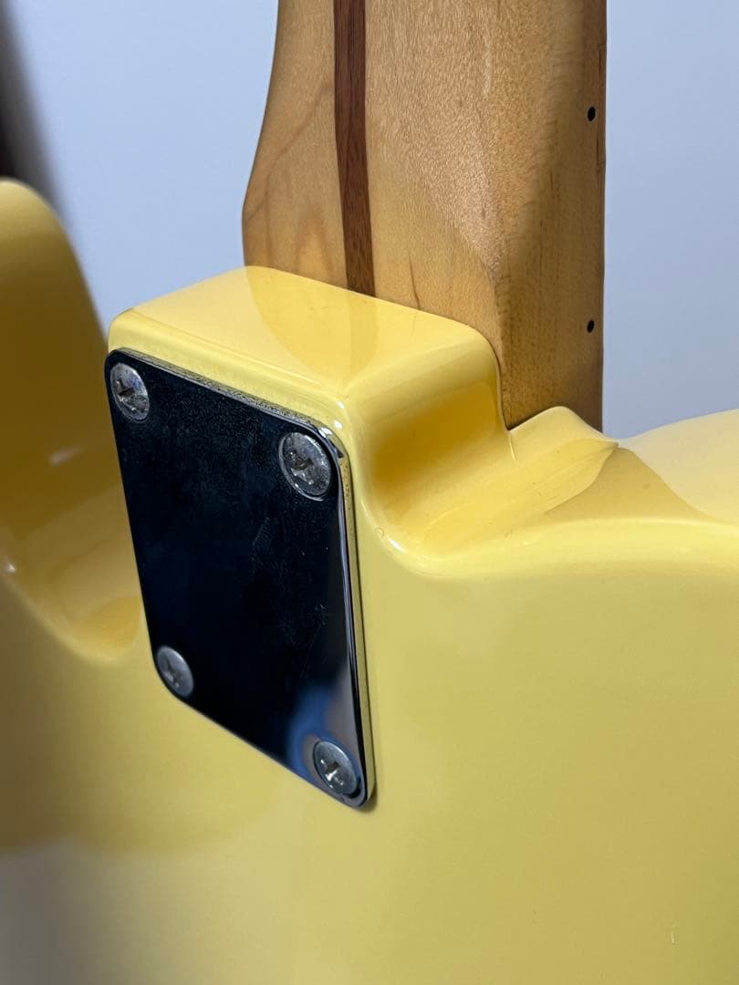 FGN フジゲン テレキャスター 日本製 JTL-5M