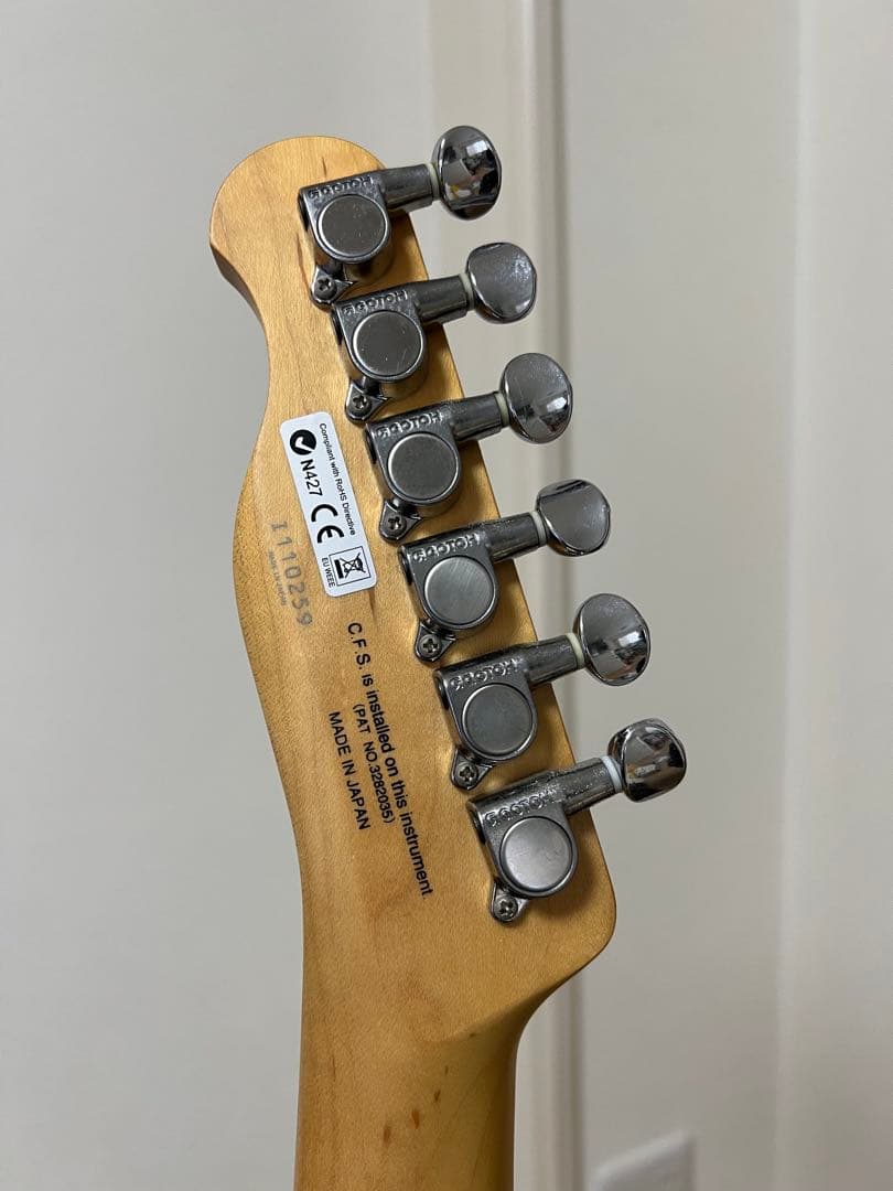 FGN フジゲン テレキャスター 日本製 JTL-5M