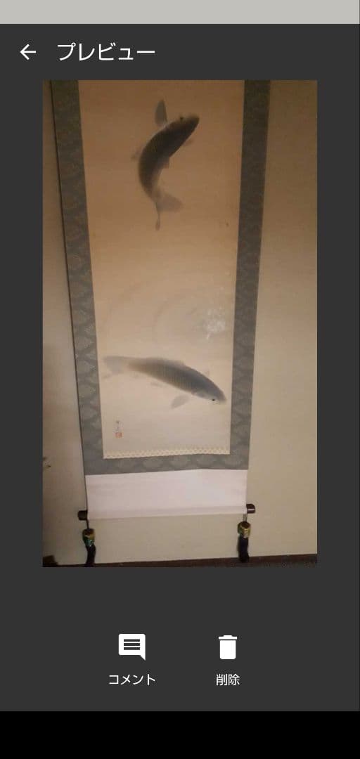 掛軸　双鯉　園泉作