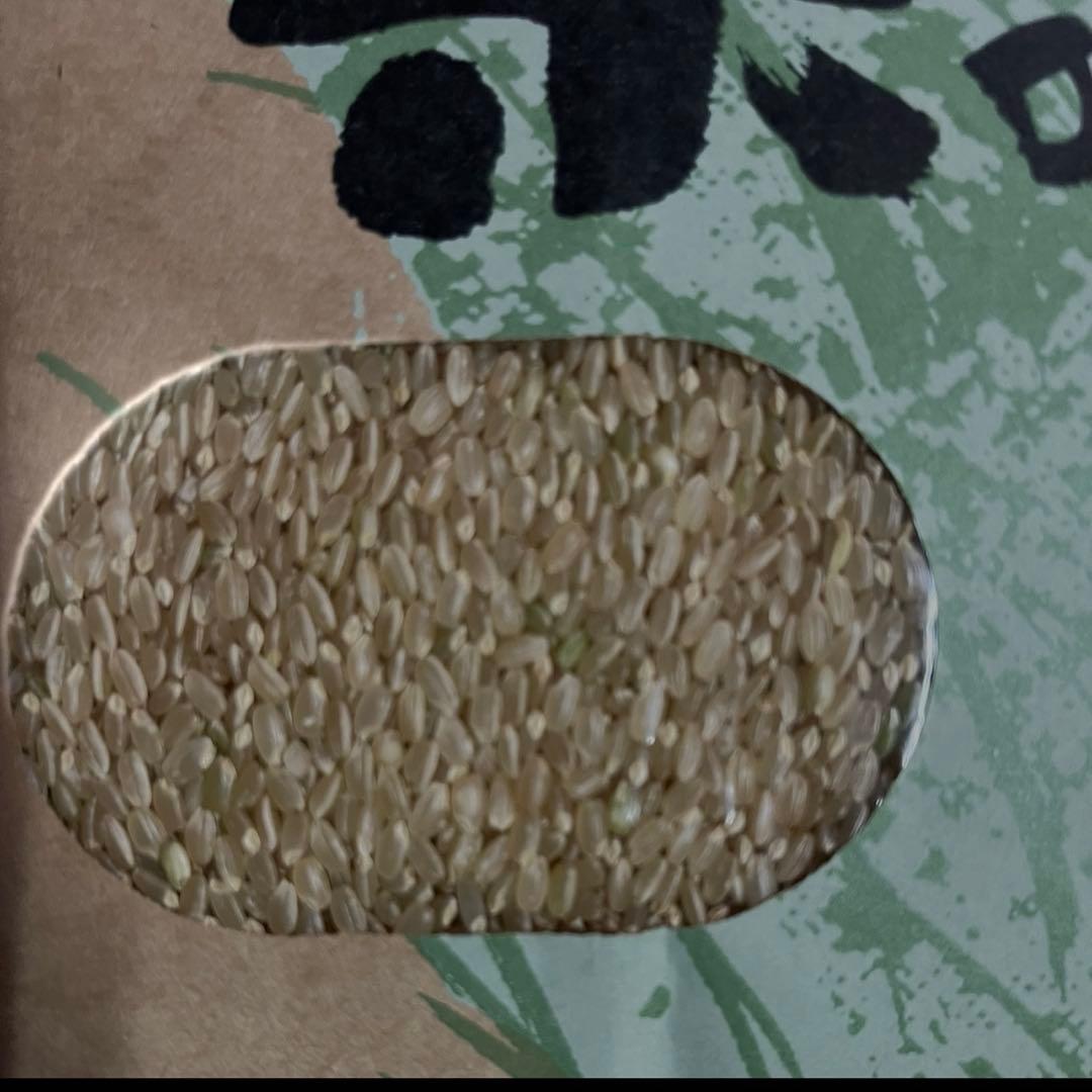 2025年産ヒノヒカリ玄米20ｋｇ 【送料無料】