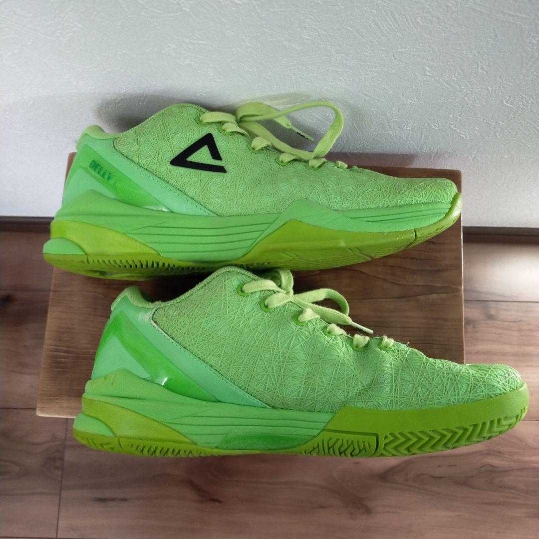 PEAK DELLY 1 ピーク　デリー1 US9 27cm
