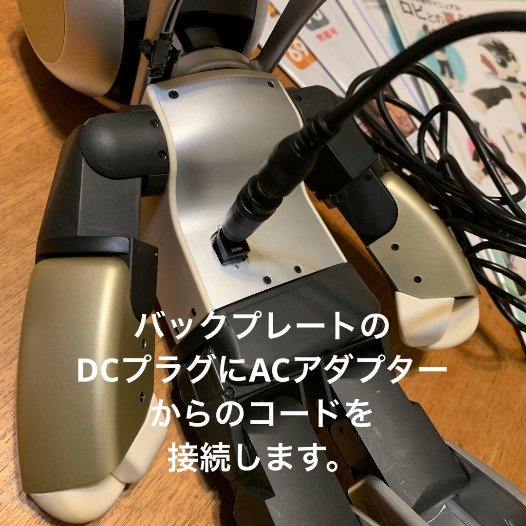 ロビ (ココロ2DX版)バッテリー不要、外部電源完動品　オーナー愛称登録します。