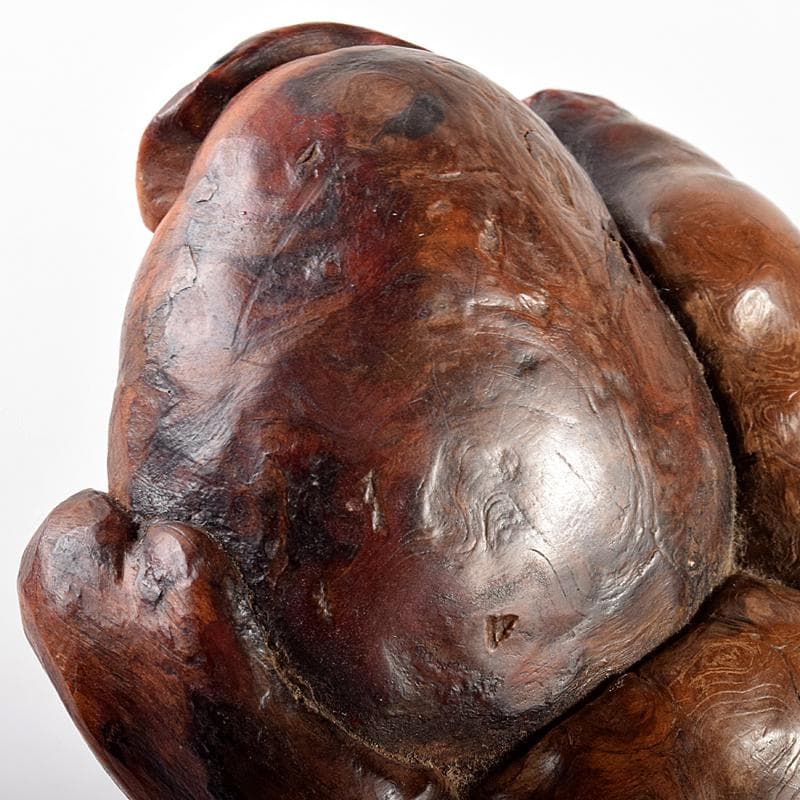 中国　唐木天然木瘤木　紙鎮　置物　V　R5131