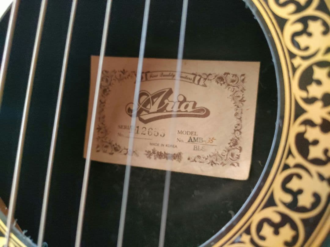 ARIA アコースティックギター F-130 グリーン