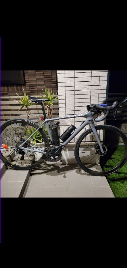 キャノンデール シナプス 51 フレームセット