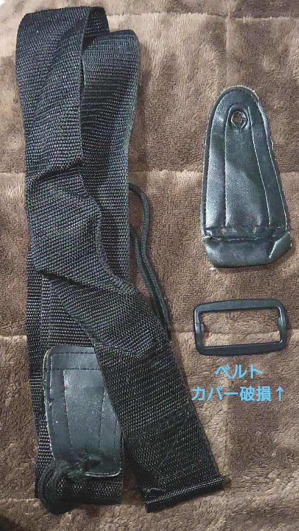 フェルナンデス　エレキギター　STJ-40C TG-5 ソフトカバー付き　その他