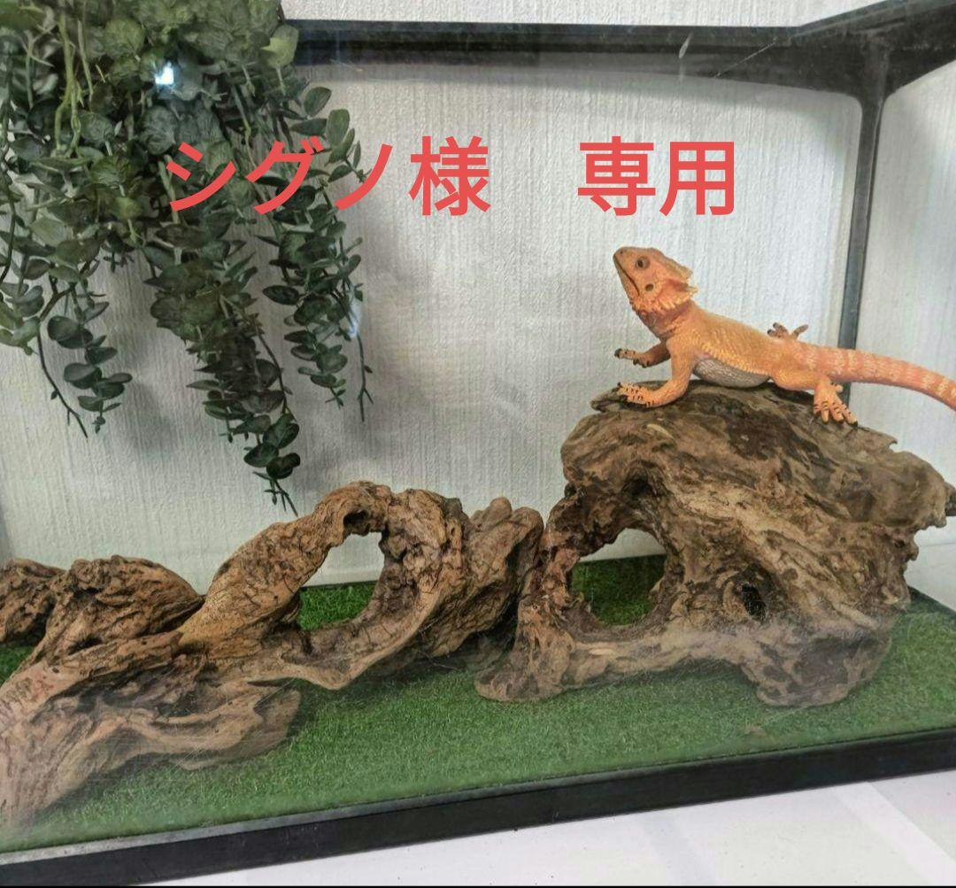 シグノ様　流木465　468　 469 　リクエスト　3点 おまとめ商品