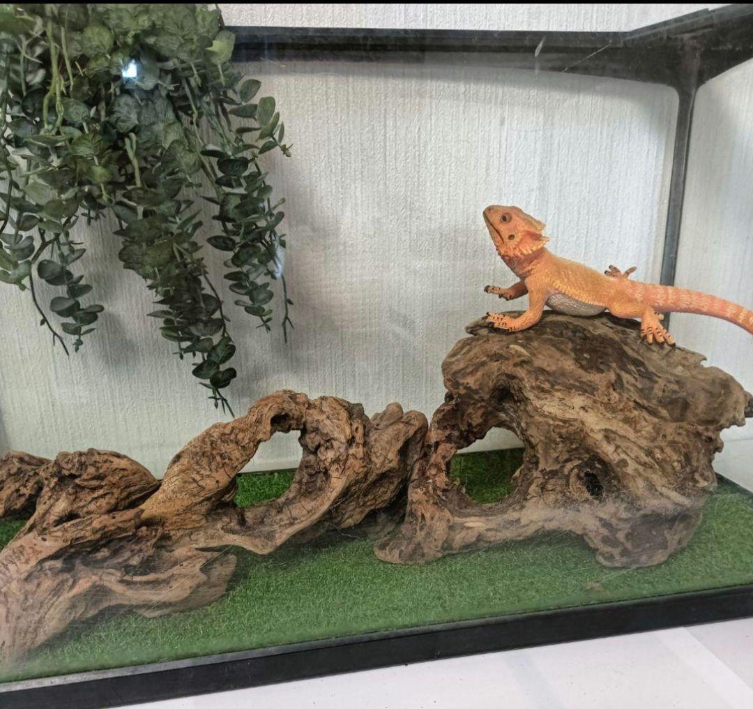 シグノ様　流木465　468　 469 　リクエスト　3点 おまとめ商品