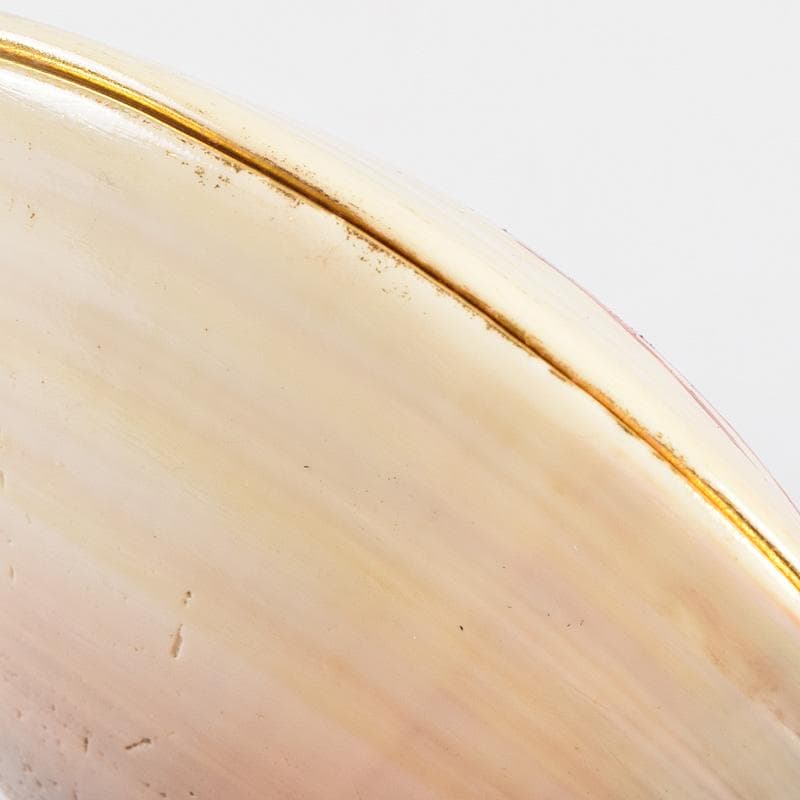 茶道具　宗廣工房　道場宗廣作　蛤香合　堀内宗完(兼中斎)極め箱　M　R9307