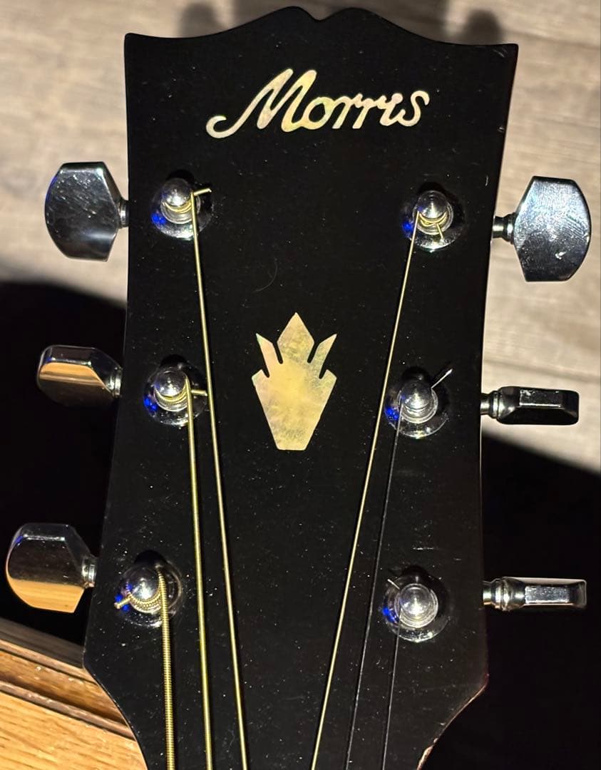 Morris Dove Model WD-30 美品