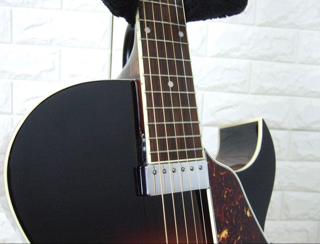 LOAR LH-350-VS フルアコースティックギター