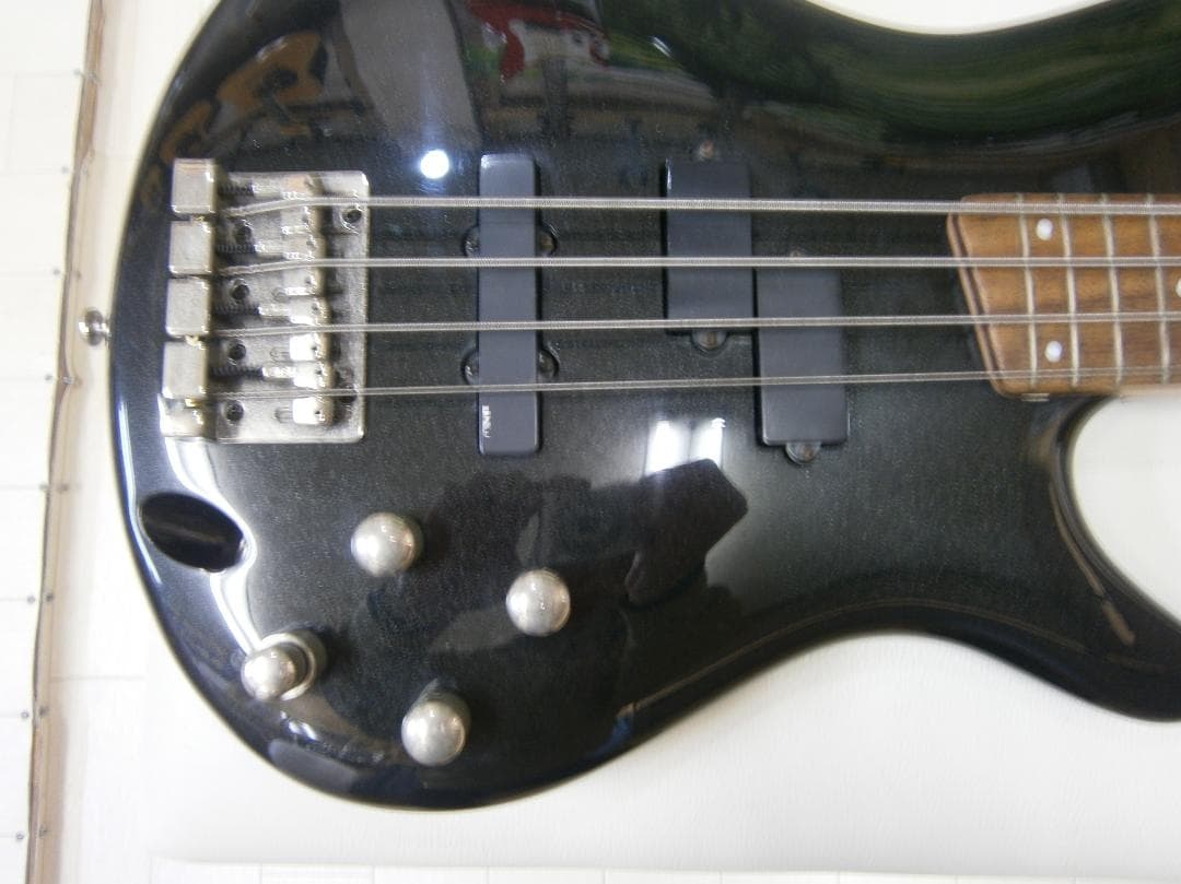 アイバニーズ＜SDGR＞SR350・アクティブタイプ