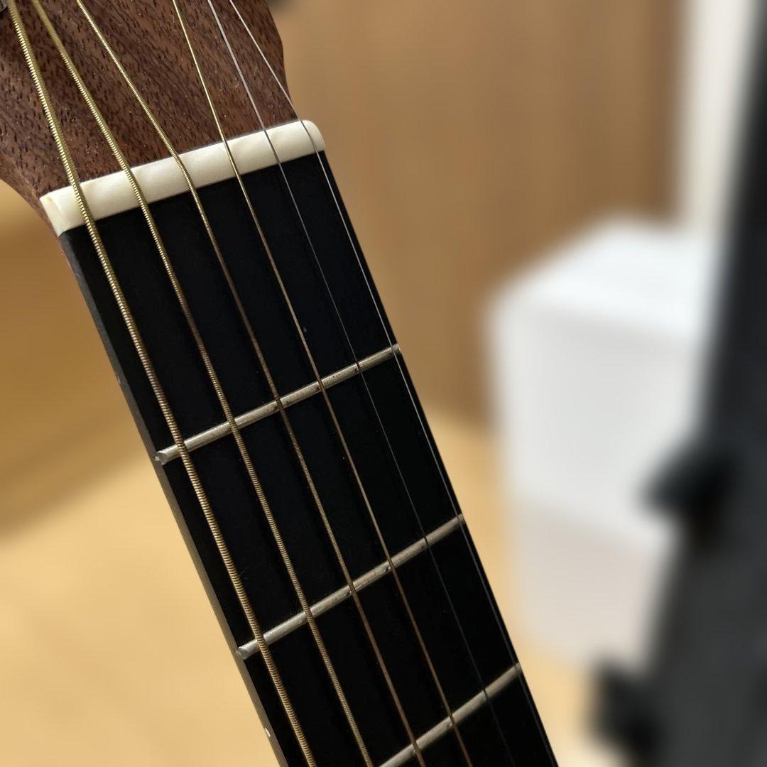 Martin & Co. バックパックギター