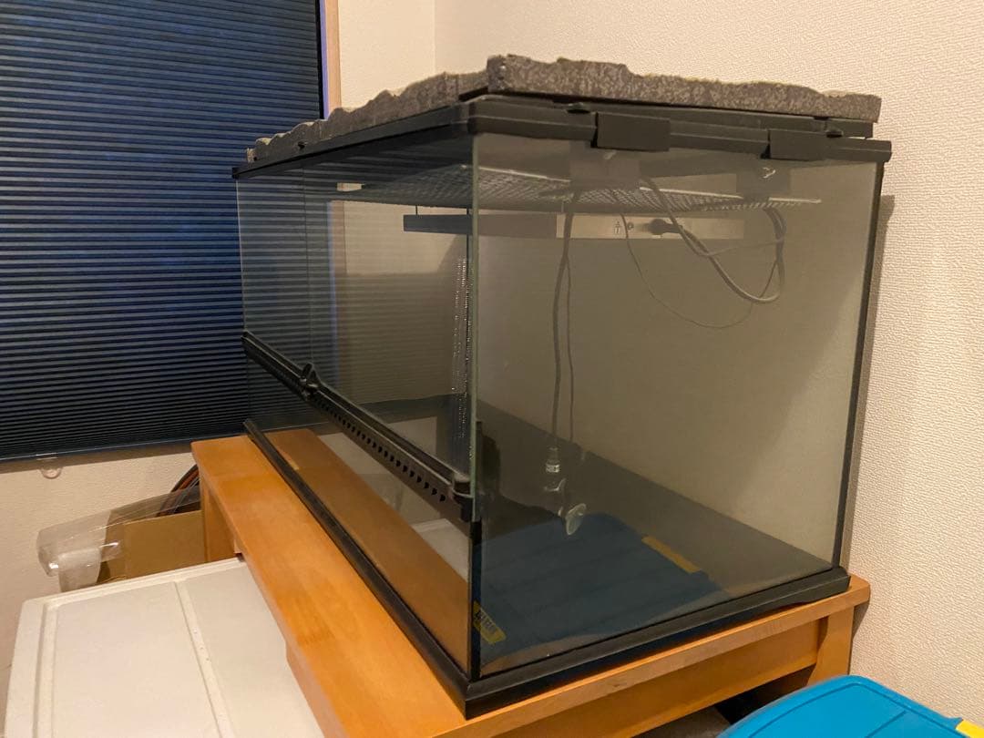 エキゾテラ　グラステラリウム9045 ゲージ　おまけ色々付きです