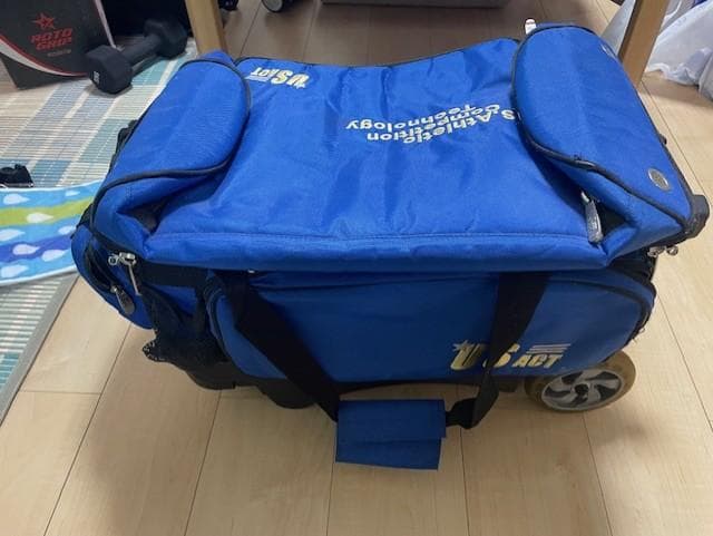 ボウリング　ボール　ボールバッグ　２個入り