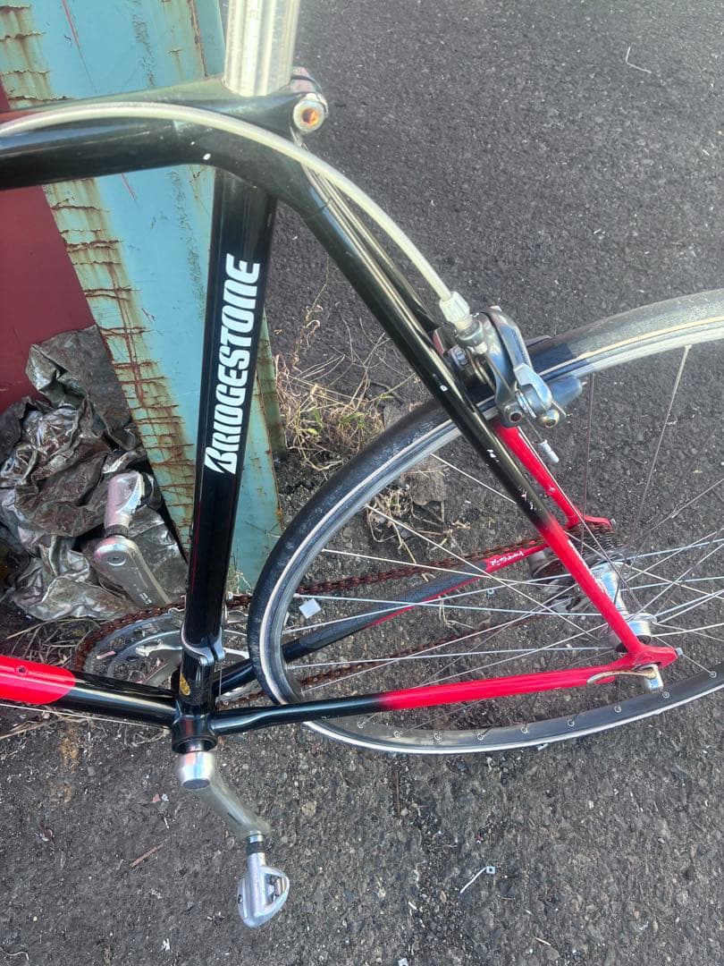 プリンストンマウンテン、自転車