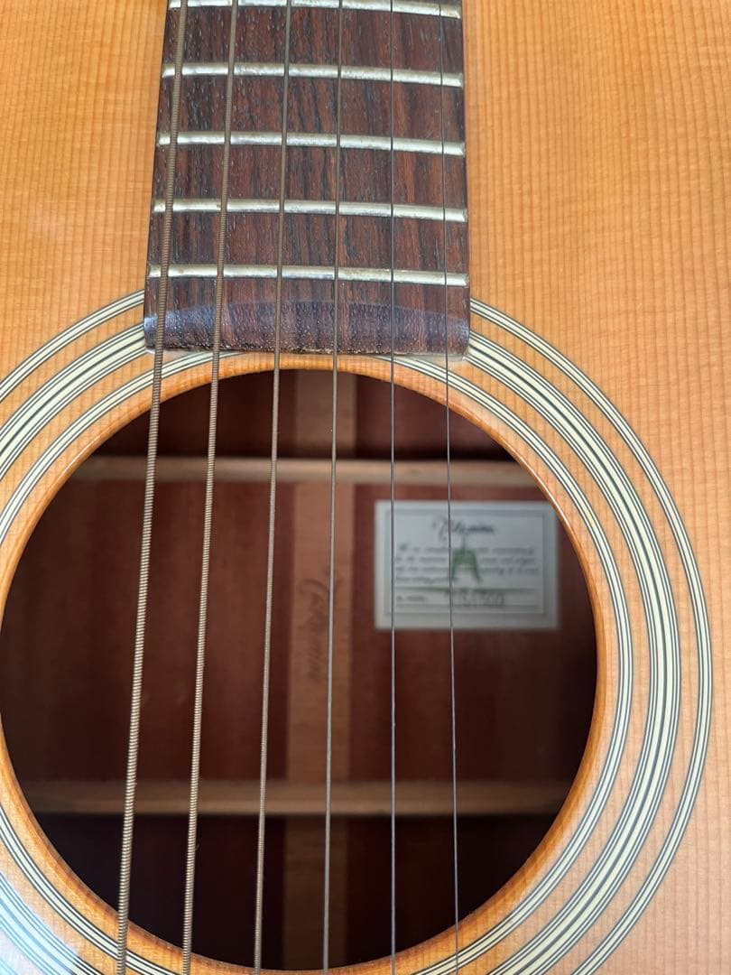 Acoustic ギター Takamine TSA500
