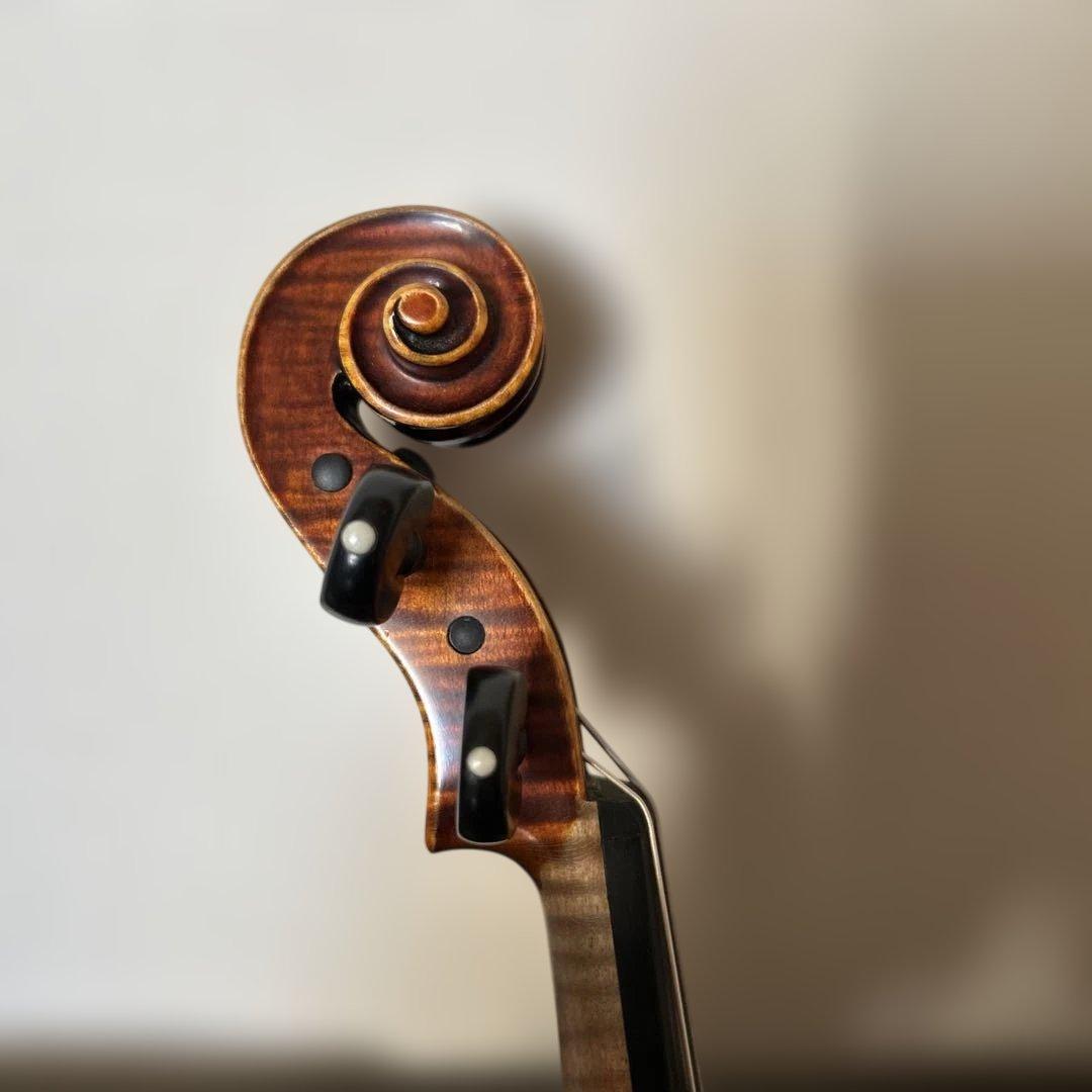 Gliga GAMA super バイオリン 1/2