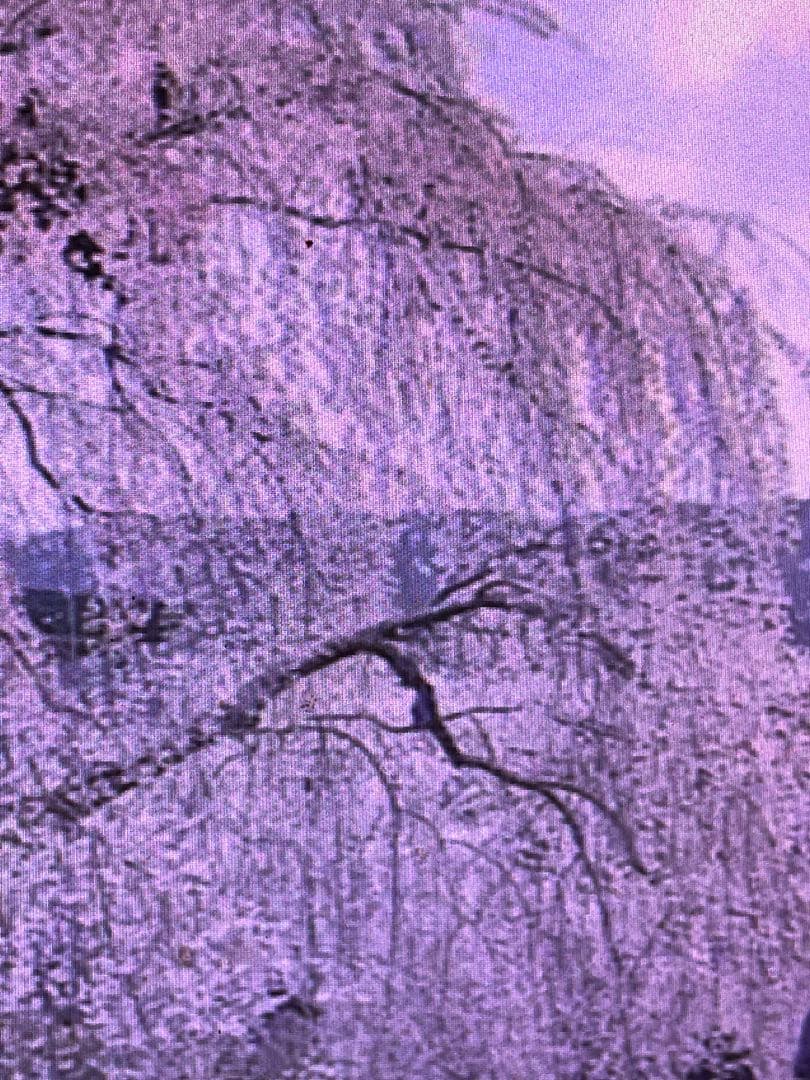 ラッキー！金帯18kg(9kg180束)入りお姫さまマーク送料無料！