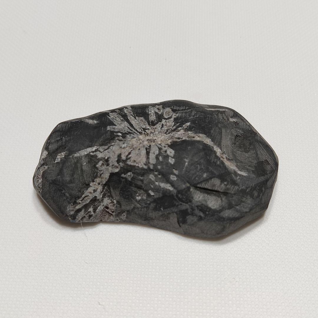 パワーストーン　天然石　菊花石　55g　No.103