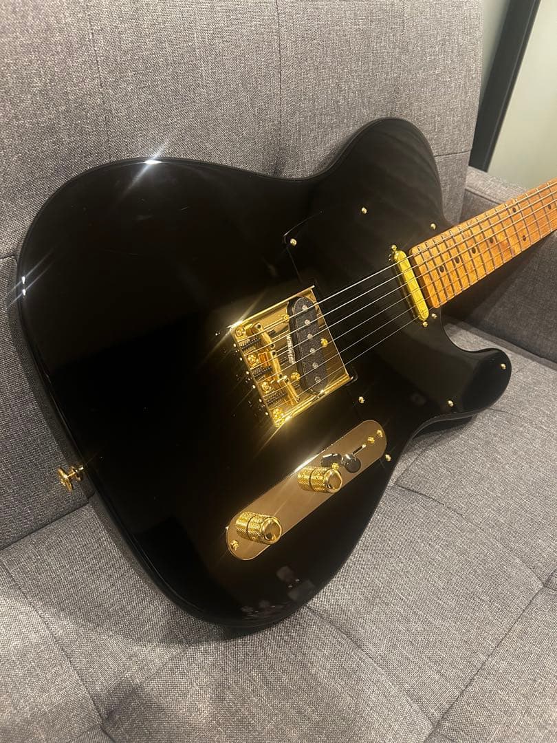 Bacchus BTE-1DX RSM MOD テレキャスター suhr