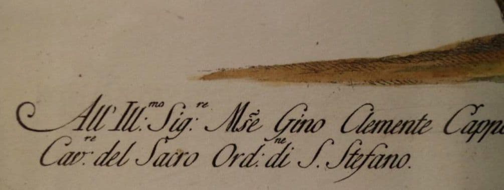 額装品　リプロダクション　S.マネッティ「鸚鵡の図」鳥類図鑑　博物画　美品