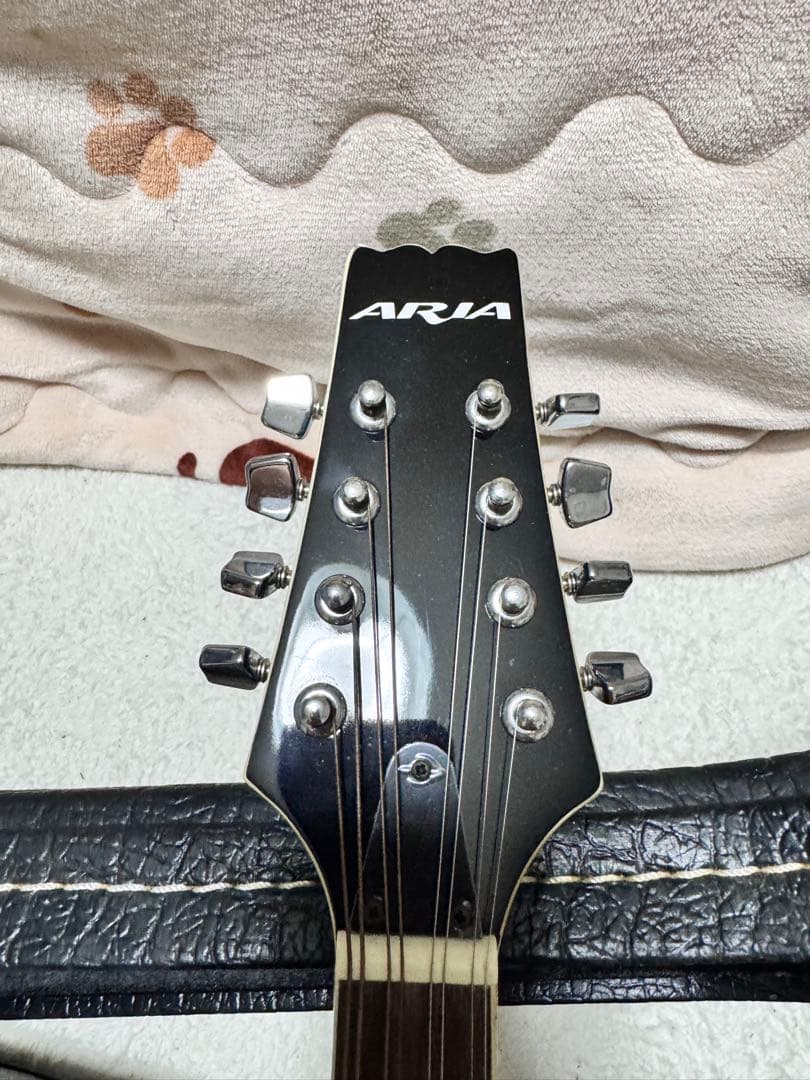【超美品】Aria AM-20 フラットマンドリン超美品　専用ハードケース 楽器