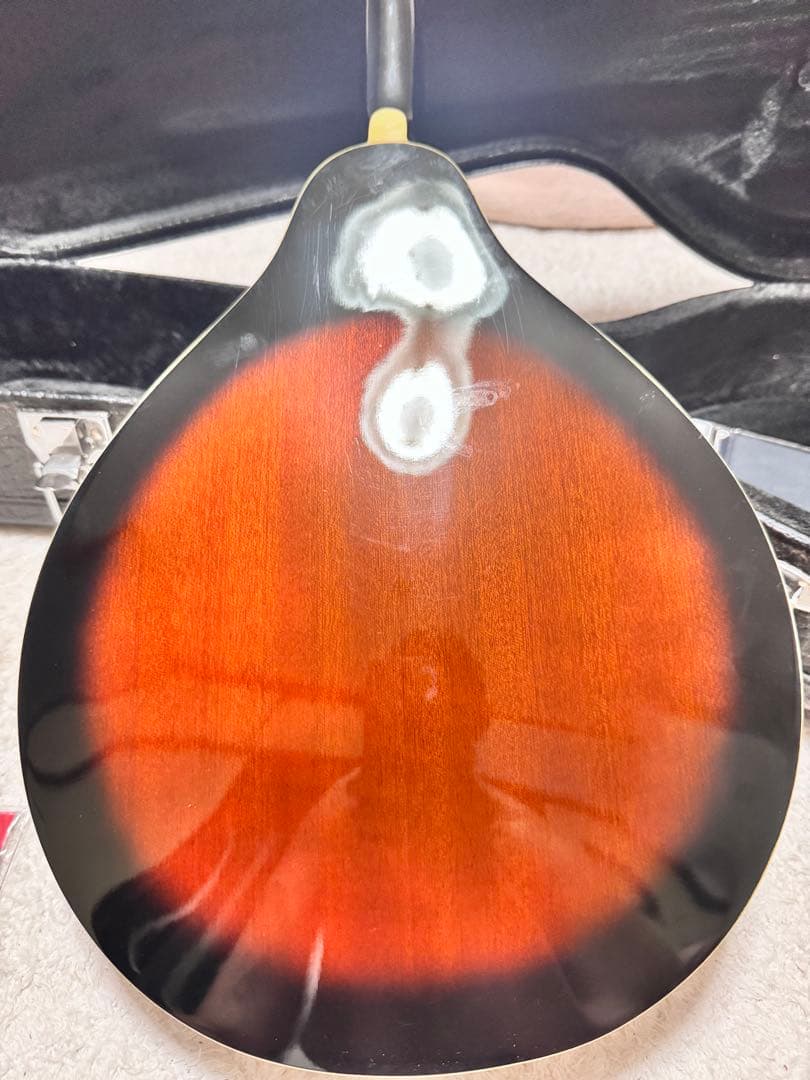 【超美品】Aria AM-20 フラットマンドリン超美品　専用ハードケース 楽器