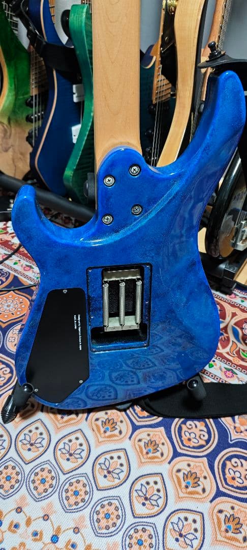 ギター Caparison Horus M3