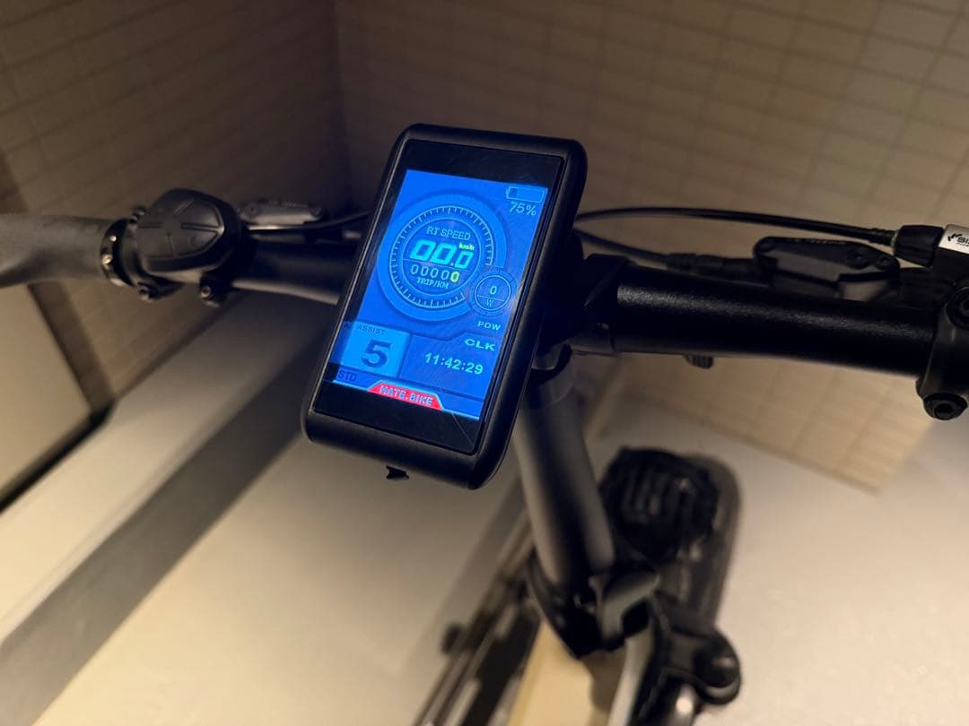 MATE X 250 MATEBAIKEほぼ美品　新発売カラー