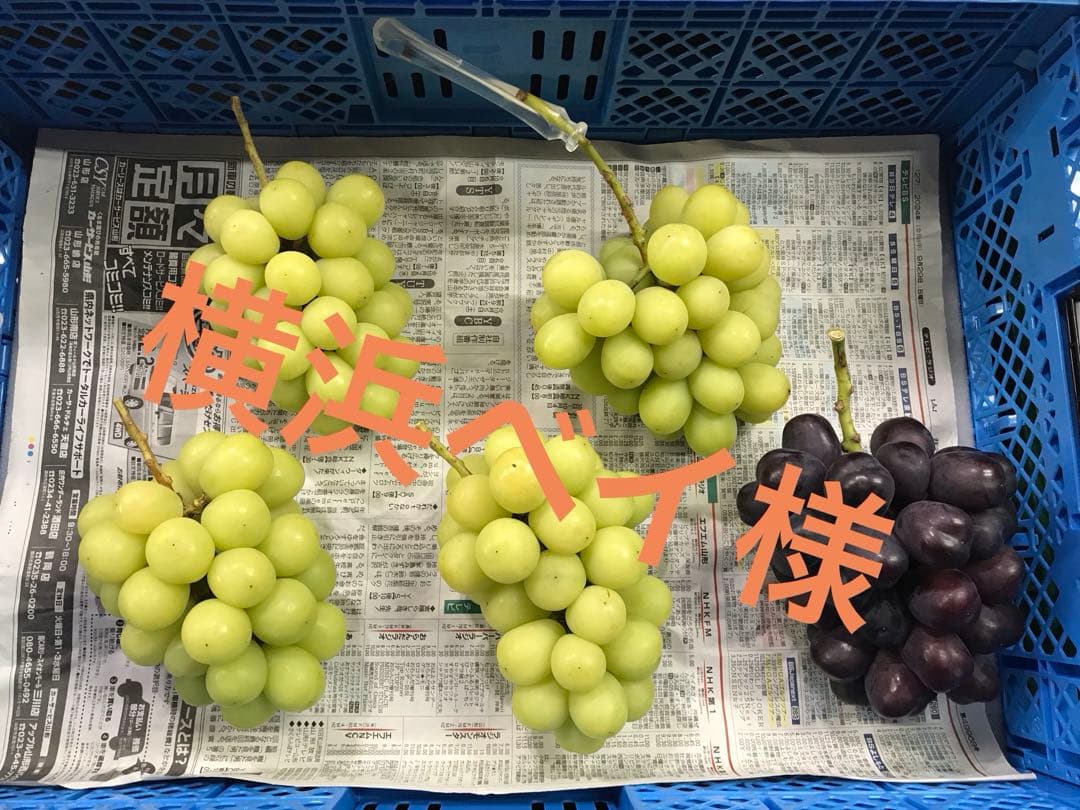 【26まで着　横浜ベイ様】シャインマスカット他2.4kg