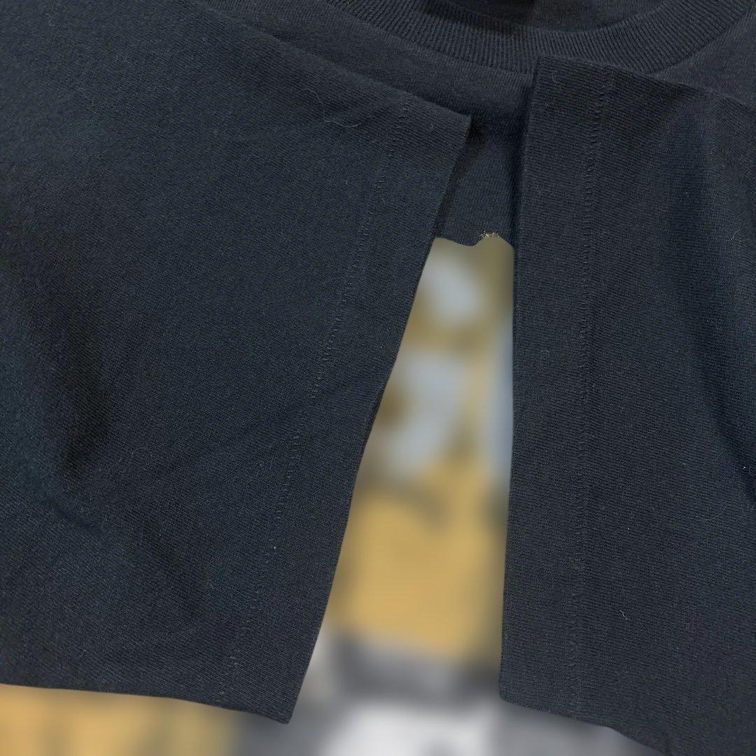 Gregg Allman 90s ライブT ツアーT anvil Lサイズ