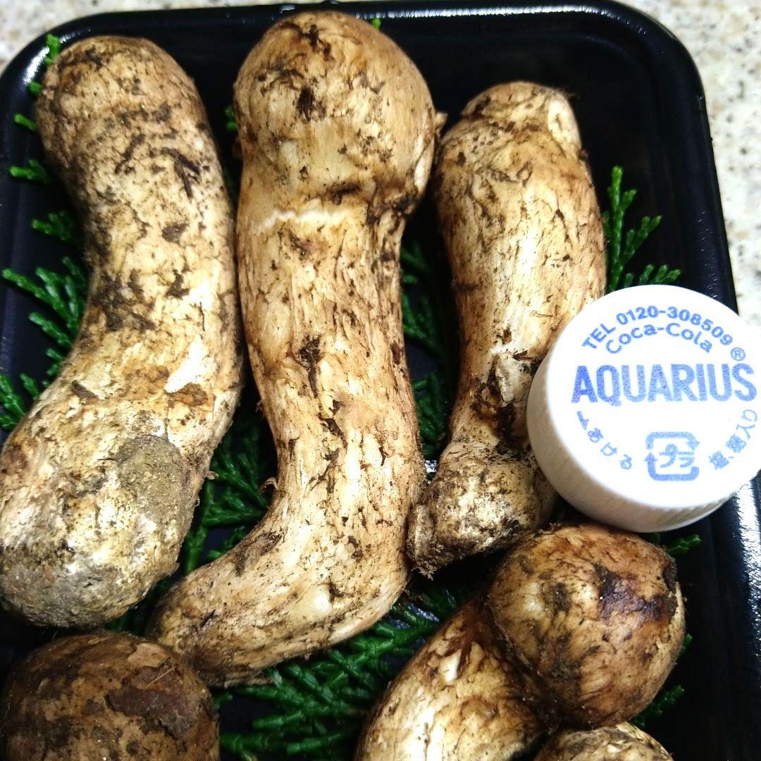 南信州産松茸約１７２g（パック込み