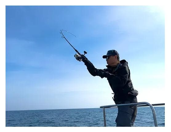 【トランスセンデンス】Ghibli80S / ギブリ80S