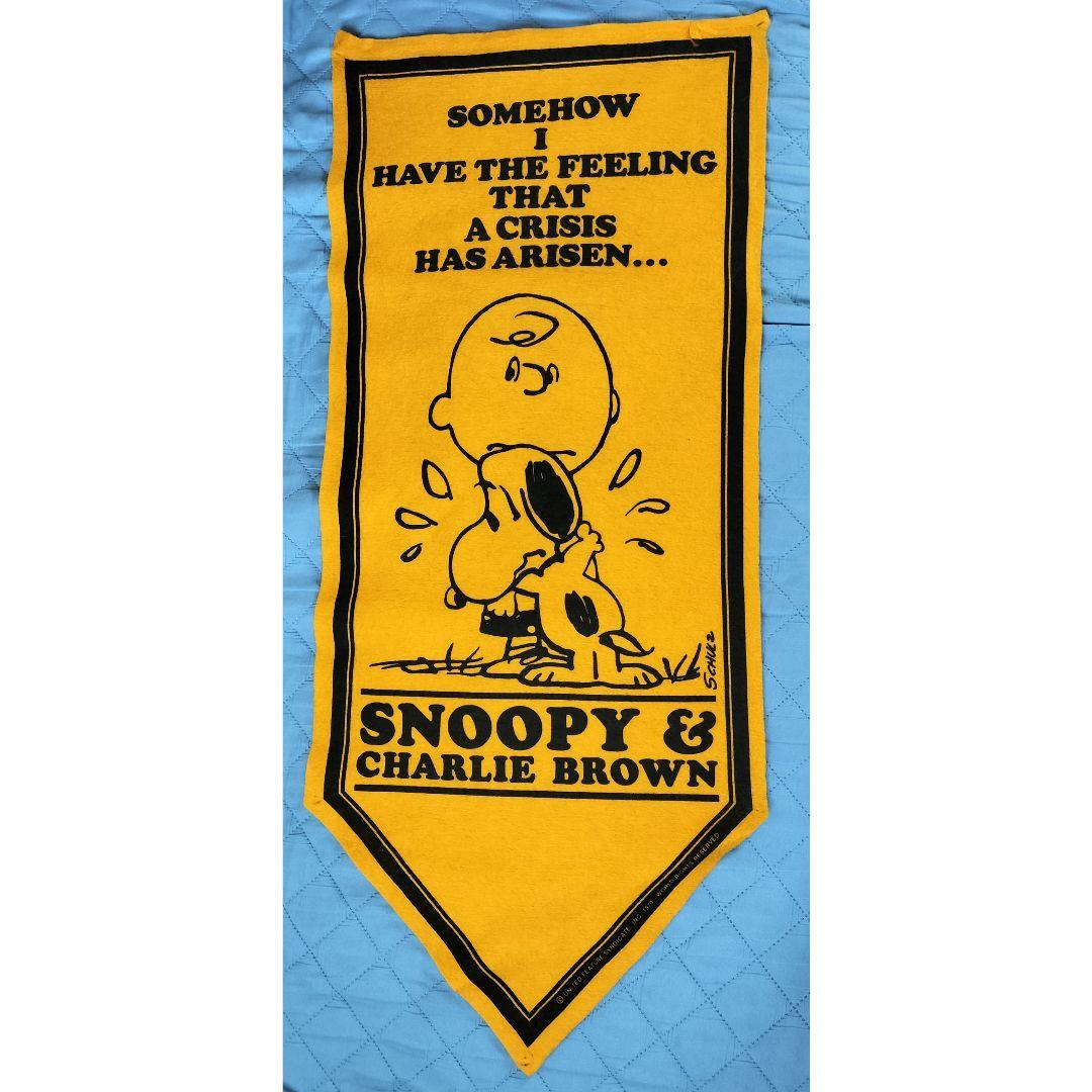 スヌーピー&チャーリーブラウンのヴィンテージフェルトバナーPEANUTS
