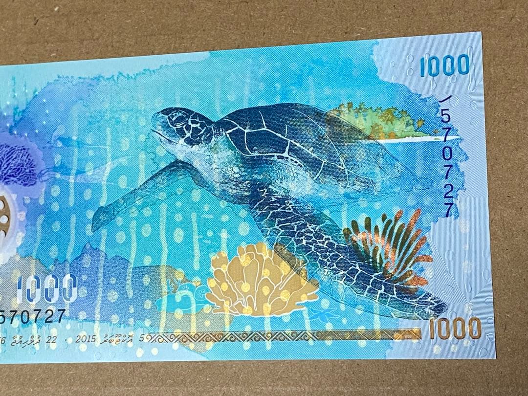 モルディブ 1000ルフィヤ