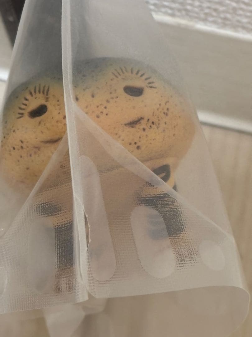 CHUKU JAPONISM 虎小石 フィギュア 未開封