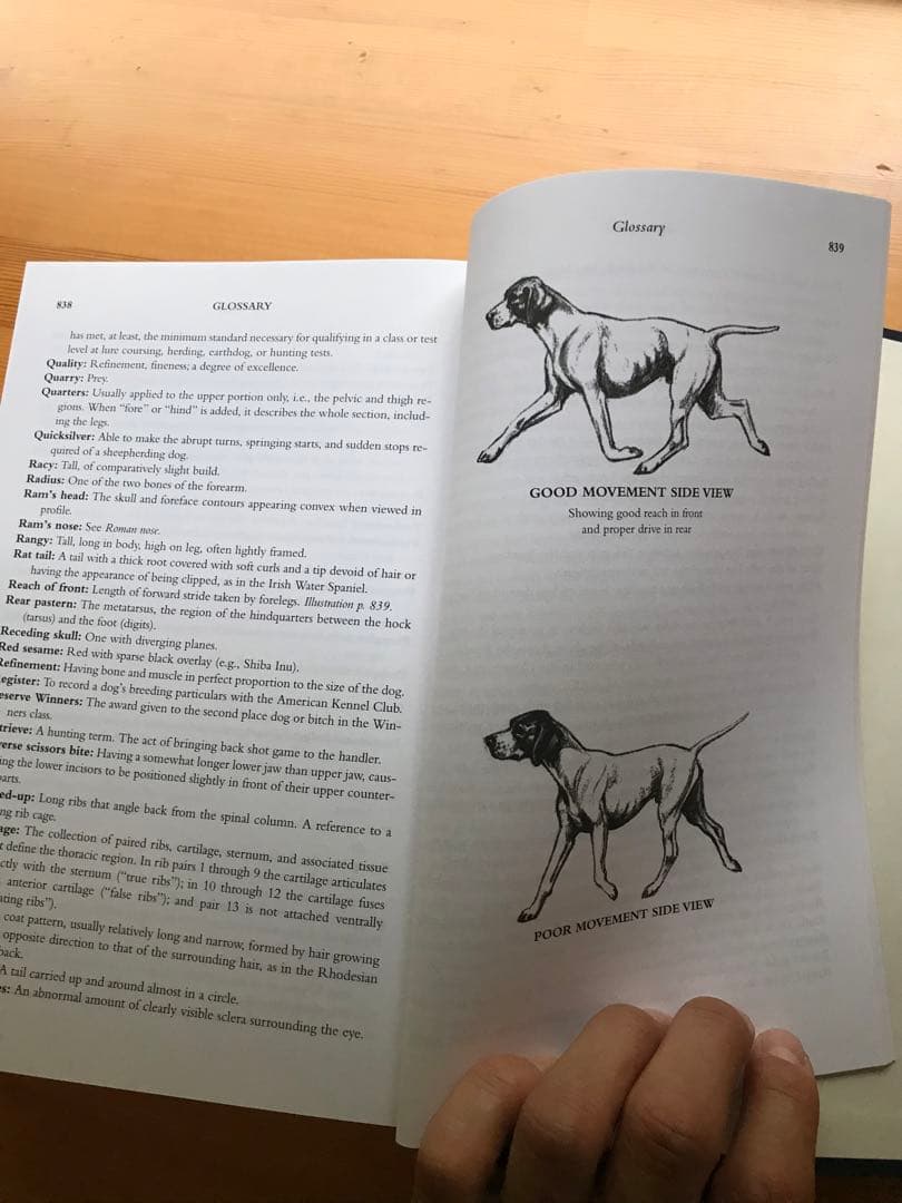 The Complete Dog Book /アメリカンケンネルクラブ公式出版
