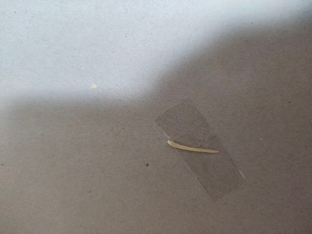 ミレーヌ　ジーナス　マクロス７シリーズ TECT製　1/5 ガレージキット