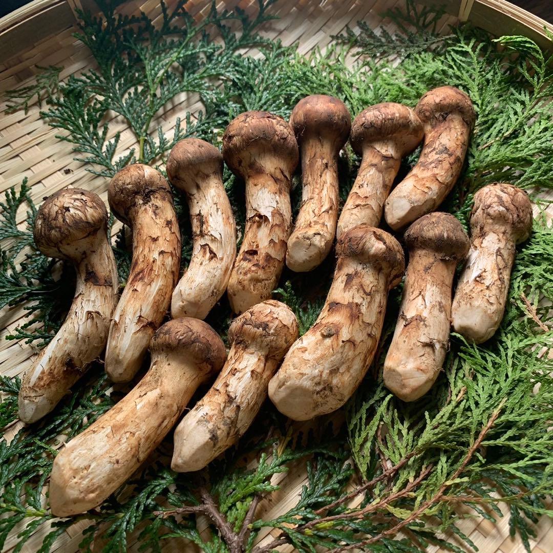 【岩手県産天然松茸】100g×3袋　松茸ご飯土瓶蒸し用　300g お手軽美味しい