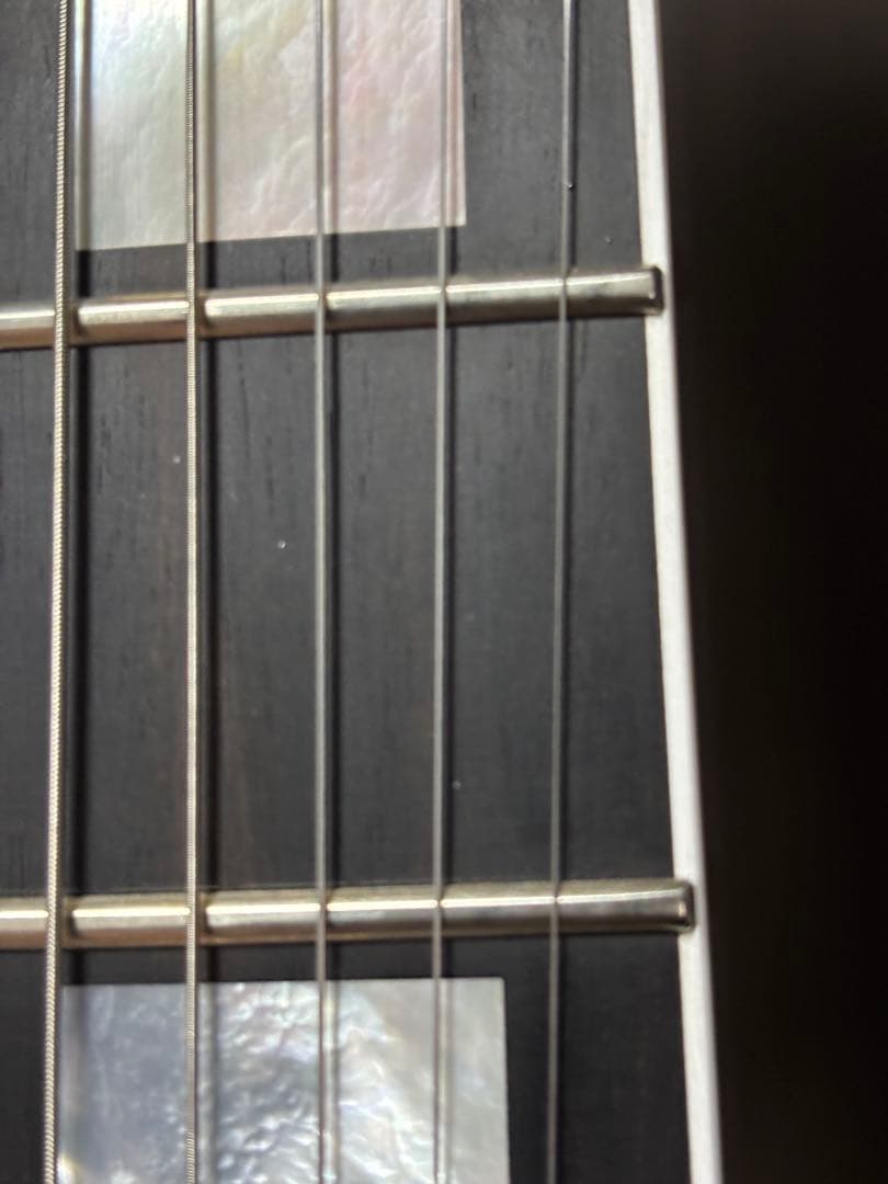 ギター FUJIGEN NLC200EMH-BK