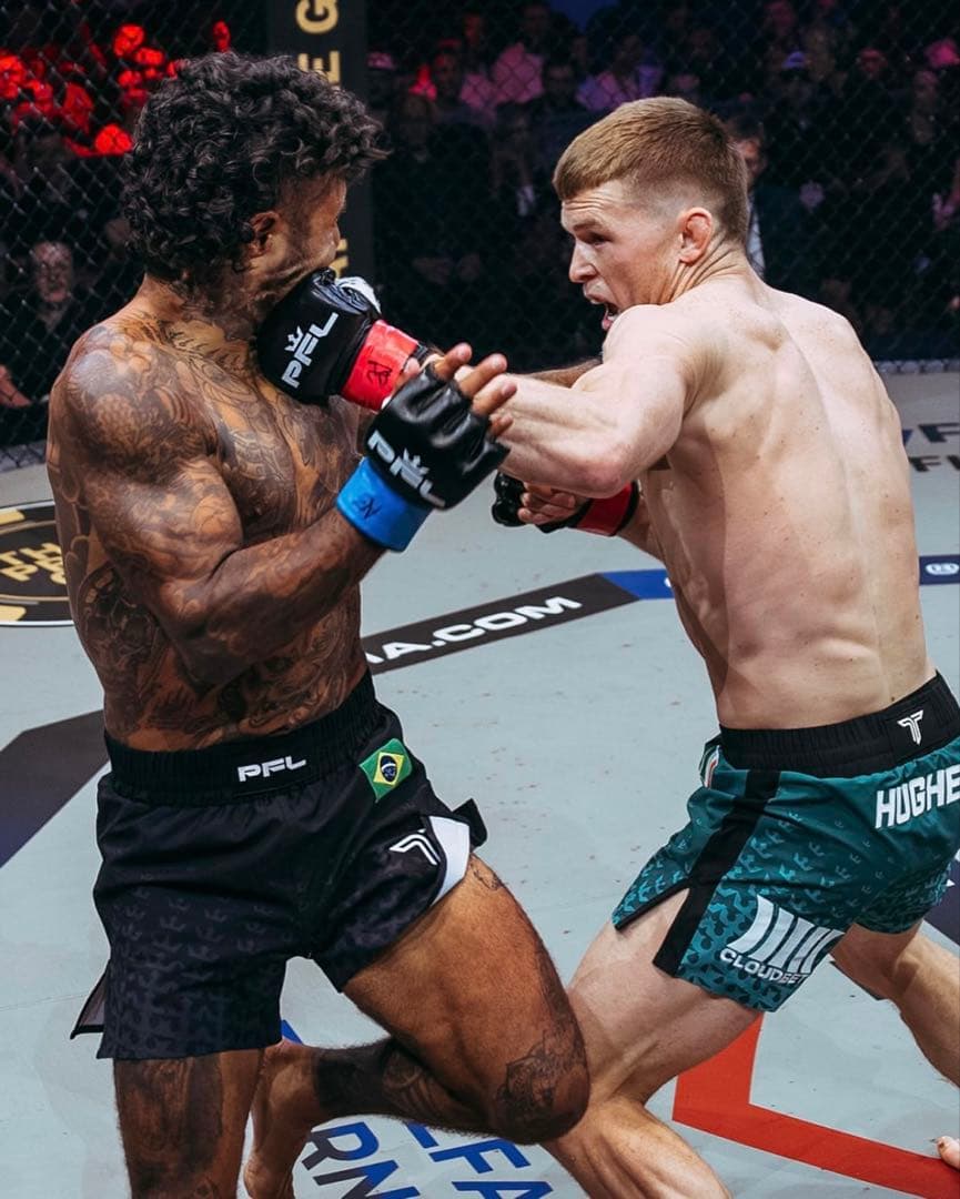 PFL FUJI MMAグローブ