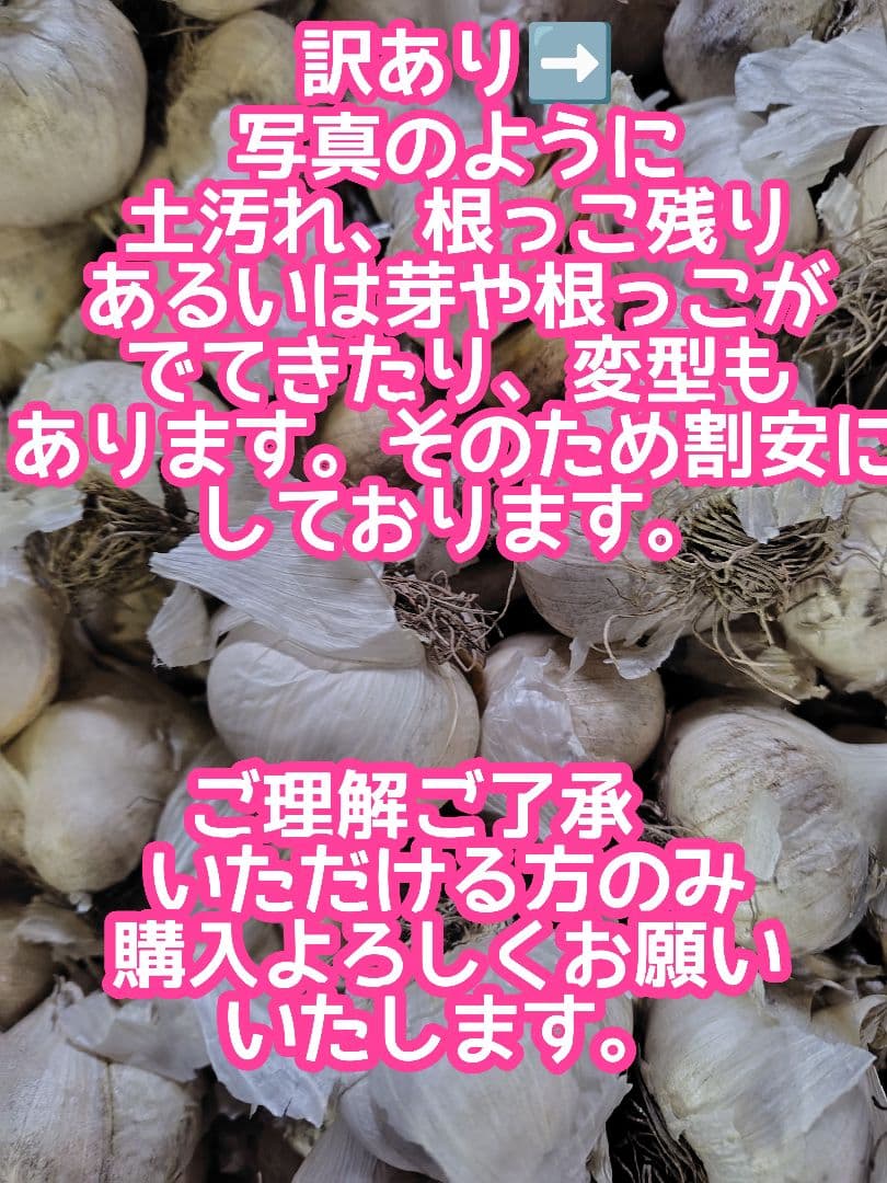 m*u様 青森県産にんにく訳あり小玉処分セール青森県産ニンニク訳あり　保存用