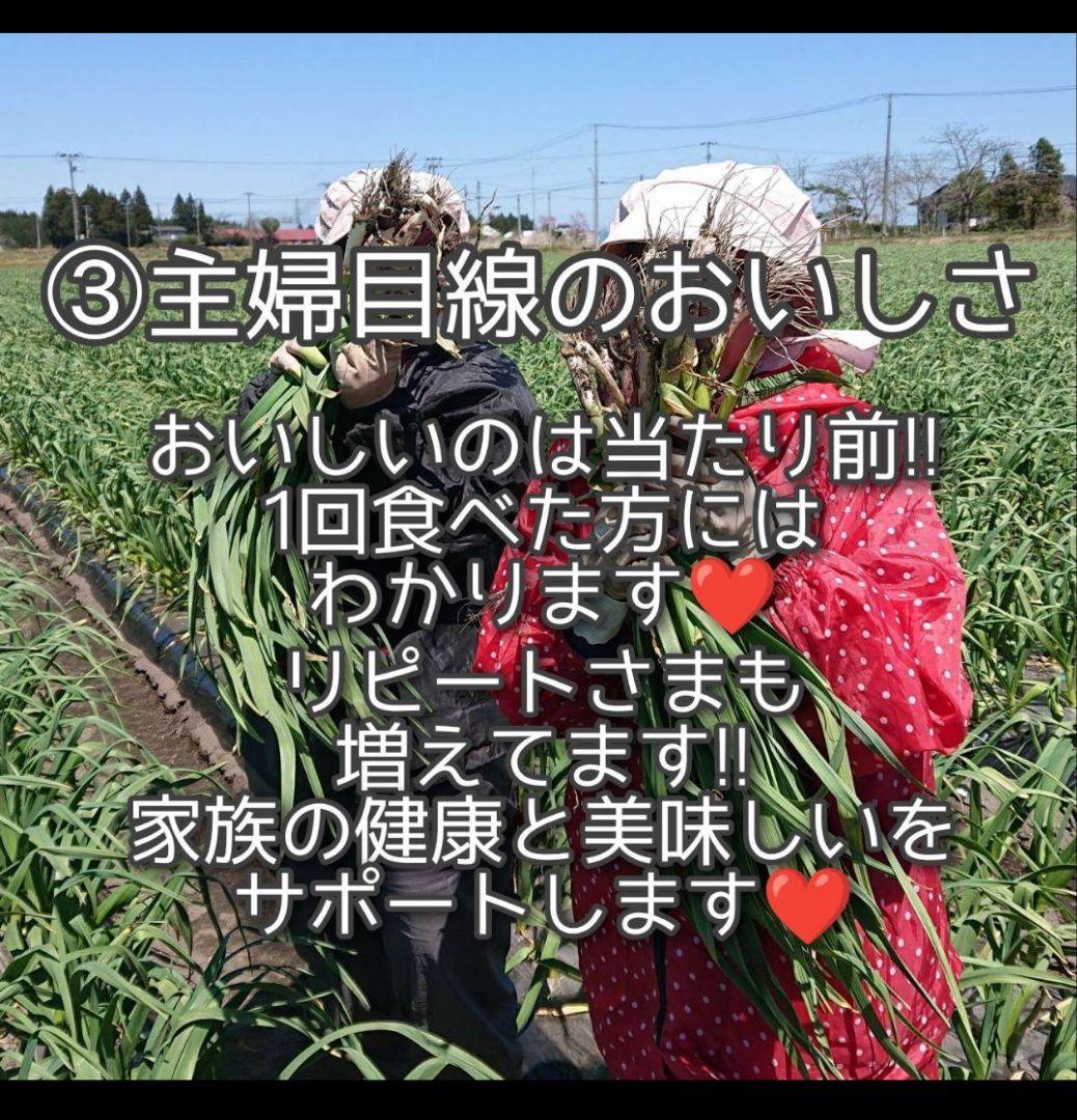 m*u様 青森県産にんにく訳あり小玉処分セール青森県産ニンニク訳あり　保存用