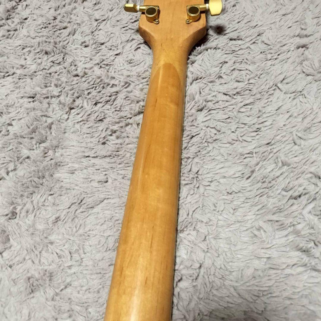 920 Tony Smith トニースミス モッキンバードタイプ HIDE