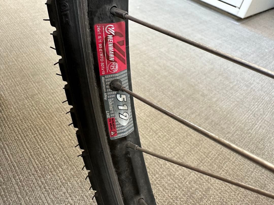 (値下)マウンテンバイク キッズ用 LOUIS GARNEAU LGS-J24